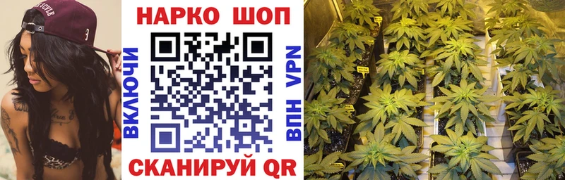 Цена Борзя Марихуана  А ПВП  ГАШ  Кокаин 
