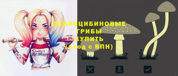 хмурый Новозыбков