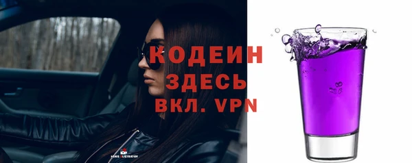 хмурый Новозыбков