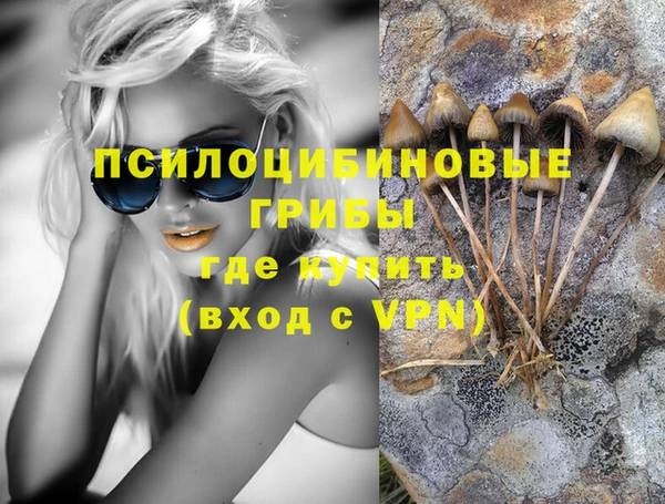 spice Нягань