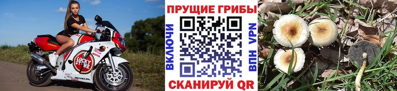 Галлюциногенные грибы Magic Shrooms  Борзя 