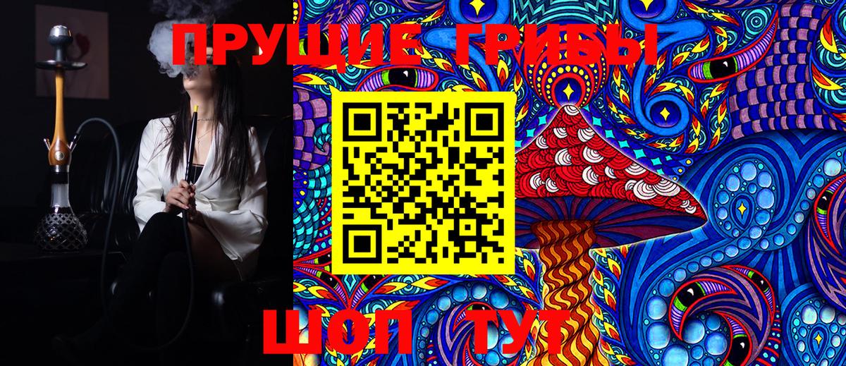 Галлюциногенные грибы GOLDEN TEACHER  Борзя  Галлюциногенные грибы прущие грибы 