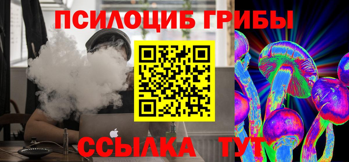 Псилоцибиновые грибы мицелий Борзя